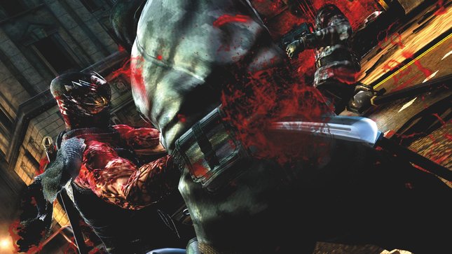 ninjagaiden2.jpg