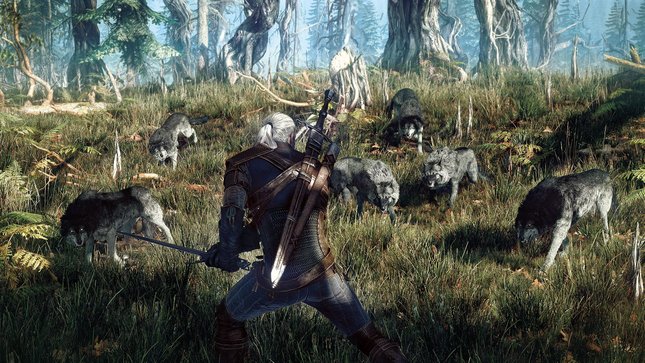 The-Witcher-3-Wild-Hunt_2013_06-25-13_001.jpg