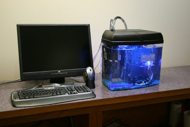 aquarium.jpg