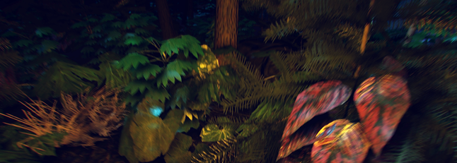TheForest02.png