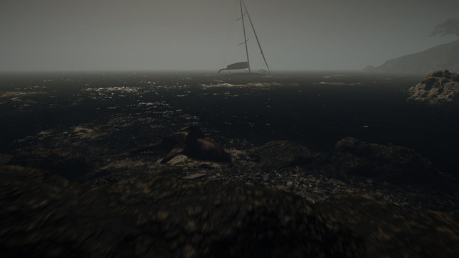 DeadShark.jpg