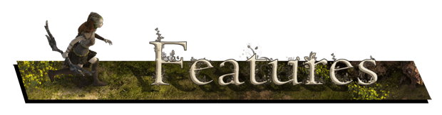 Features.gif