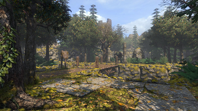 forest_1080p.jpg