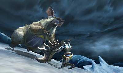 Monster-Hunter-4_2013_05-16-13_019.jpg