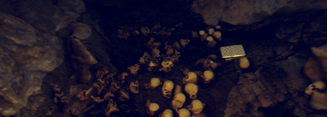 TheForest04.png