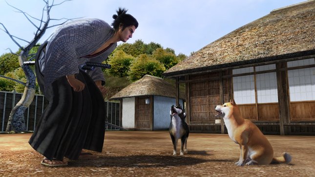 Yakuza-Ishin_2013_11-29-13_018.jpg