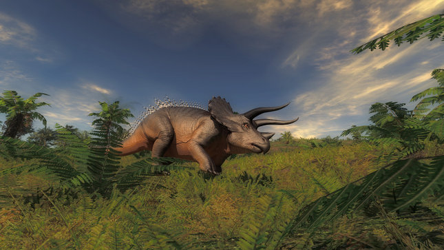 thehunterprimal04.jpg (356.82 KiB) Viewed 8031 times thehunterprimal04.jpg