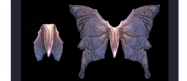 Concept7.jpg